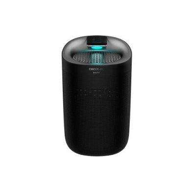 Cecotec BIGDRY 3000 PURELIGHT BLACK