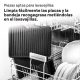 Braun Hogar MULTI GRILL 7 CG9040