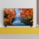 TCL TV 32S5K