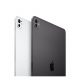 Apple iPad Pro Wi‑Fi 11pulgadas 512GB vidrio estándar - Negro espacial