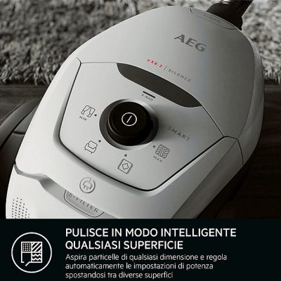 Aspirador con bolsa - AEG 900258506, 600 W, Depósito 3,5 l, Gris