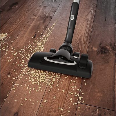 Aspirador con bolsa - ELECTROLUX EUOC94DB, 850 W, Depósito 5 l, Negro