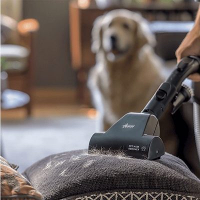 Aspirador con bolsa - HOOVER HE721PAF 011, 850 W, Depósito 6 l, Negro
