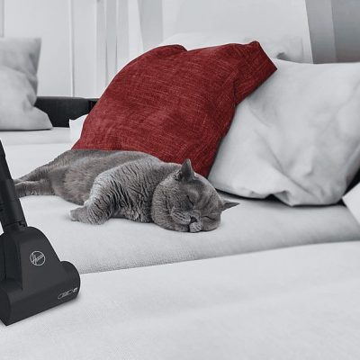 Aspirador con bolsa - HOOVER TXL21PET011, 700 W, Potencia de succión 850 W, Depósito 3,5 l, Gris