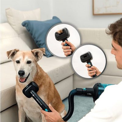 Aspirador escoba - Cecotec RX50 Pet Flex, 300 AW, 780 W, 90 min, Cepillo HairLess, Tubo flexible, Kit completo, Negro/Azul