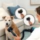 Aspirador escoba - Cecotec RX50 Pet Flex, 300 AW, 780 W, 90 min, Cepillo HairLess, Tubo flexible, Kit completo, Negro/Azul