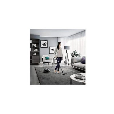 Aspirador sin bolsa - AEG 900 258 249, 750 W, Depósito 3 l, Negro