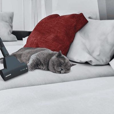 Aspirador sin bolsa - HOOVER BR71 BR30, 700 W, Depósito 2 l, Negro
