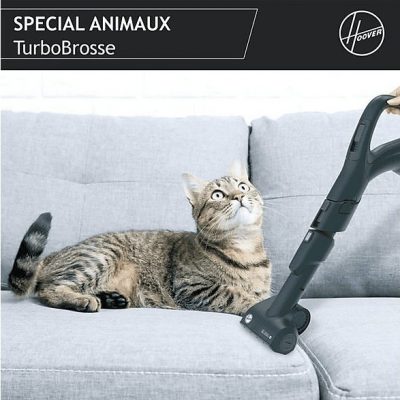 Aspirador sin bolsa - HOOVER H-POWER HP720PET, 850 W, Potencia de succión 850 W, Depósito 2 l, Dorado y Negro
