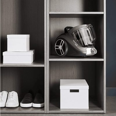 Aspirador sin bolsa - ROWENTA RO4B50CH, 900 W, Depósito 2,5 l, Negro, Bronce